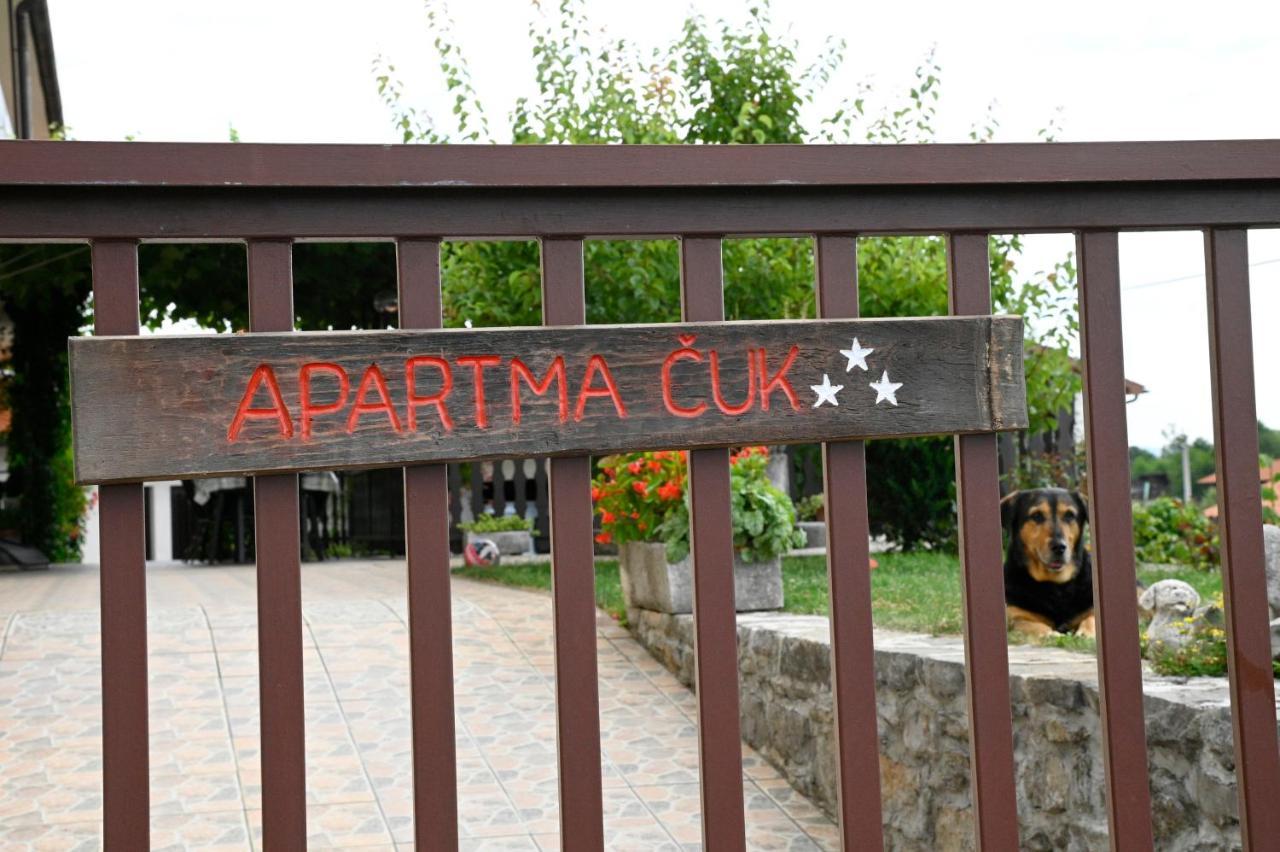 Apartma Cuk Dutovlje Экстерьер фото
